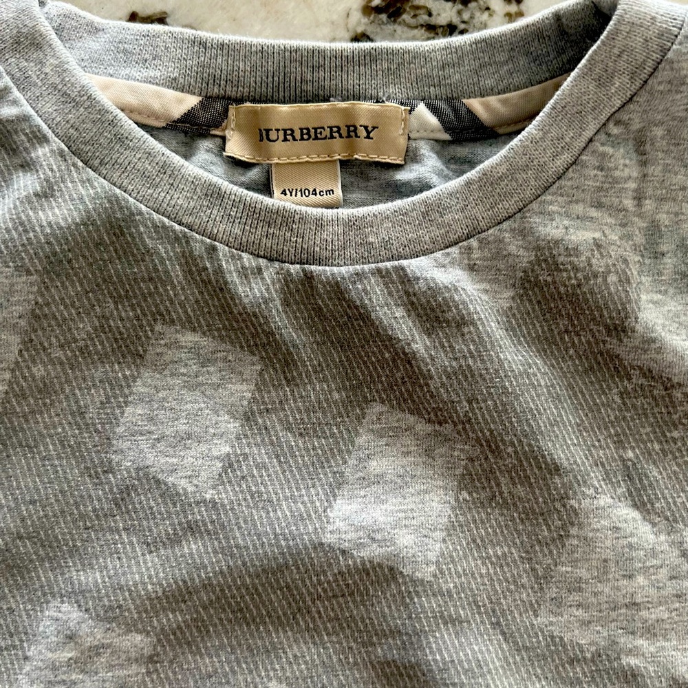 Burberry long sleeve shirt & Burberry short sleeve shirt for free-size 4T